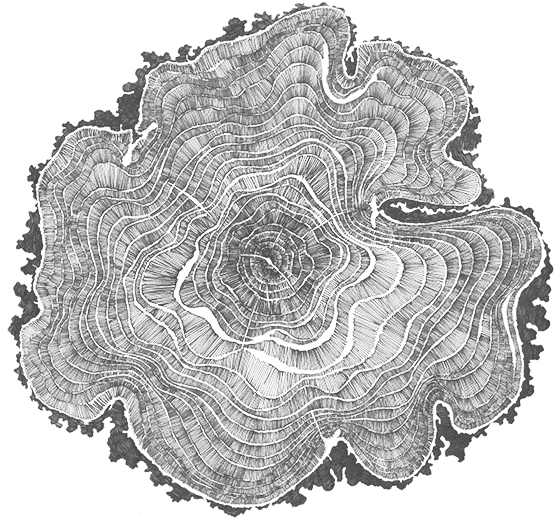 Analogue Ways project