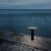 Funghi by Thomas Bernstrand – Zero