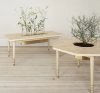 Nordan table Masur birch top octagonal brass legs Bernadotte Kylberg Garsnas design