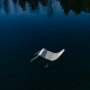 Lieksa-chair-water-Snarkitecture-0